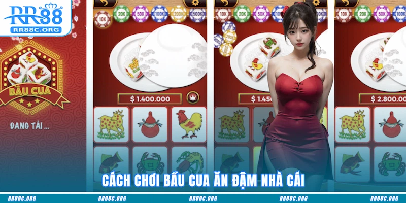Cách chơi Bầu Cua ăn đậm nhà cái